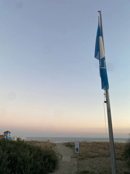 File:Photo 5796569291422809671 y.jpg